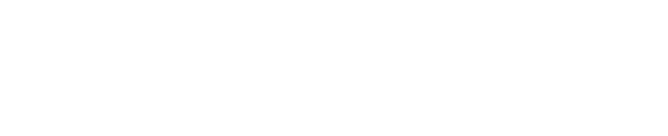 Nilvo Riboldi 65653, deputado estadual